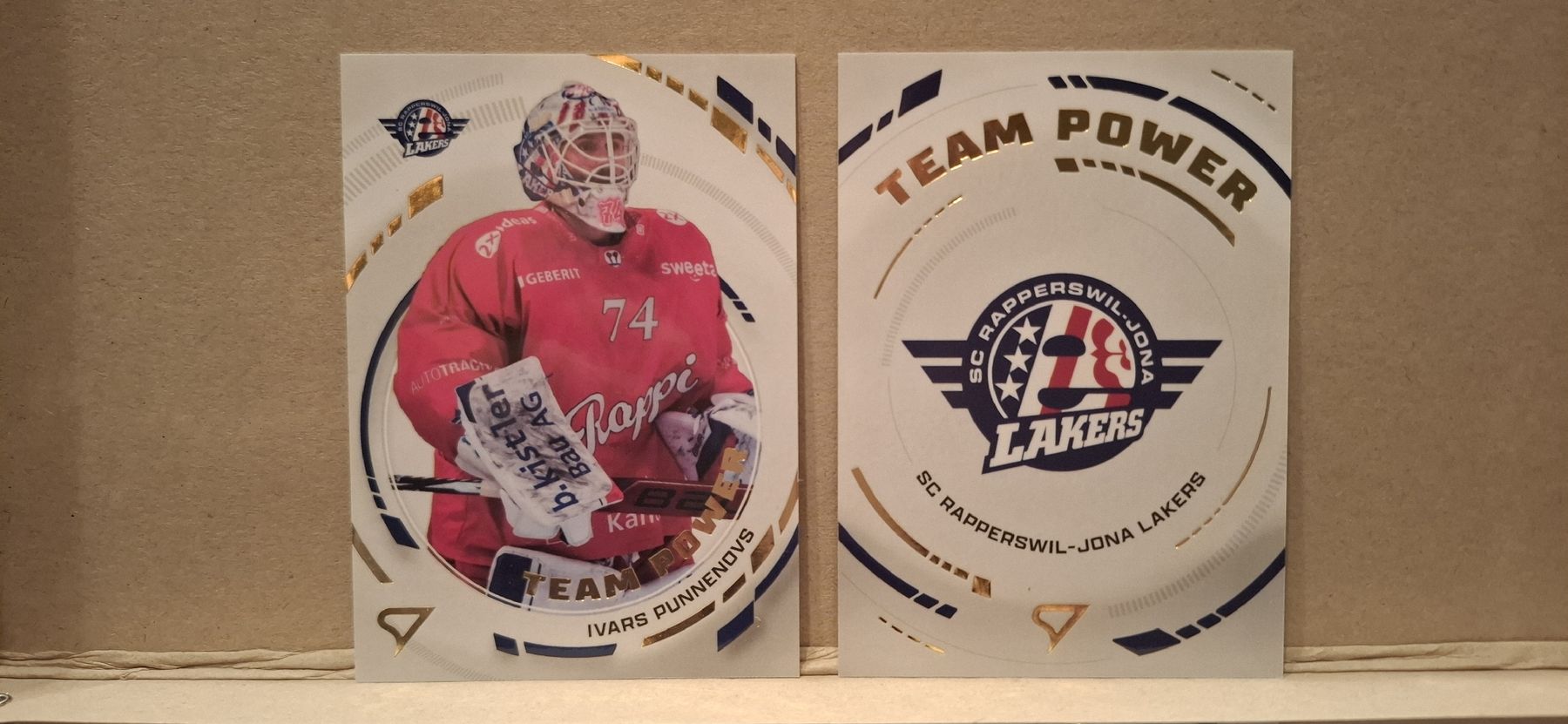 Sportzoo Sammelbilder & Trading cards: Cartes Team Power SC Rapperswil – Neu (gemäss Beschreibung) aus Aigle von vir_lb2c
