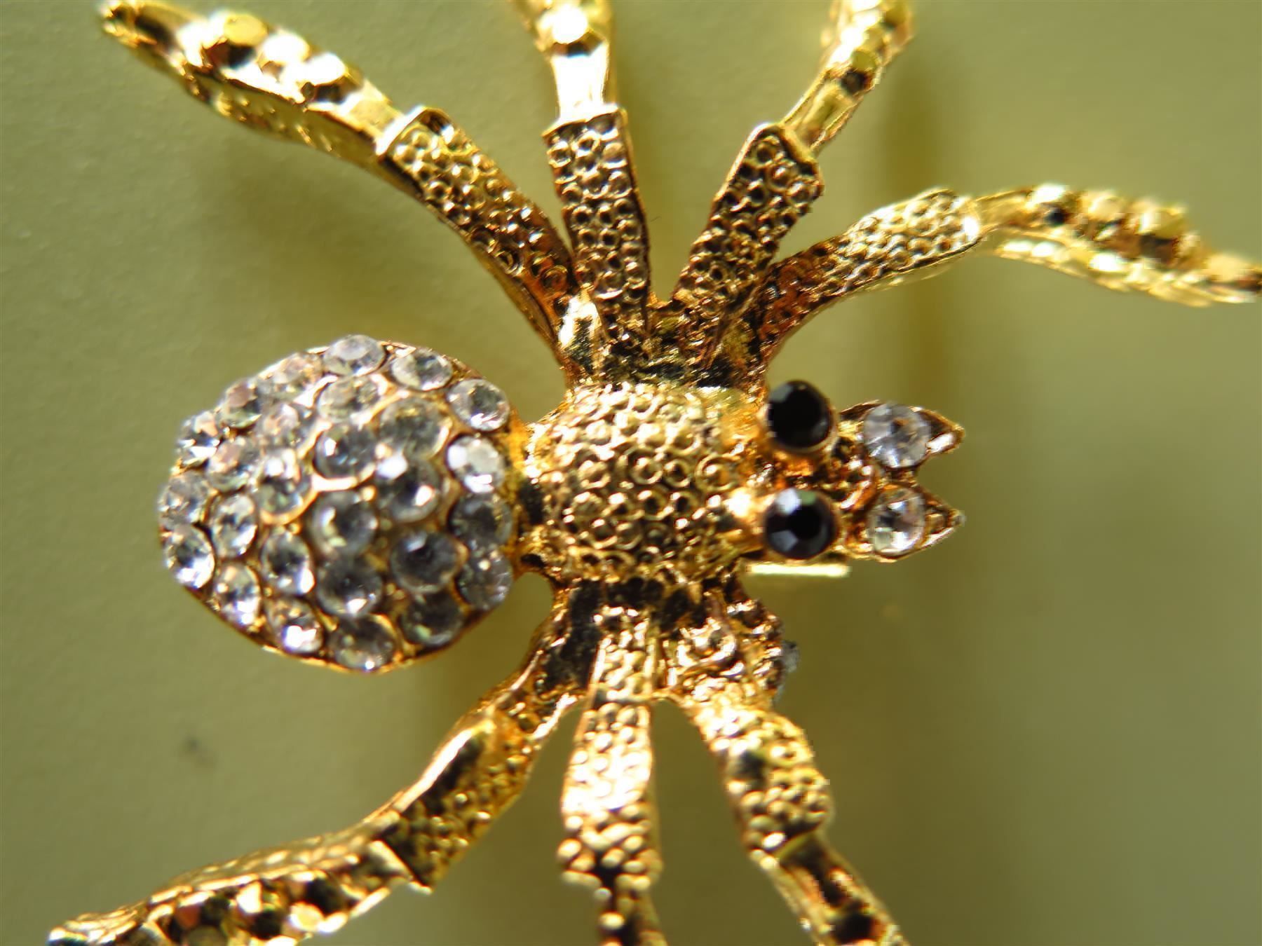 Spille & Fermagli: (22Q)  BROSCHE, Spinne mit 7 Beinen – Usato da Bern venduto da Jwpm66 1