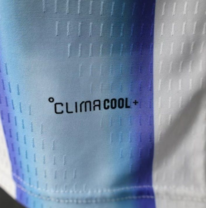 Canottiere & Pantaloni: Trikot WM 26 Argentina – Nuovo e nell'imballaggio originale da Trimbach venduto da TurbinaDiesel 5