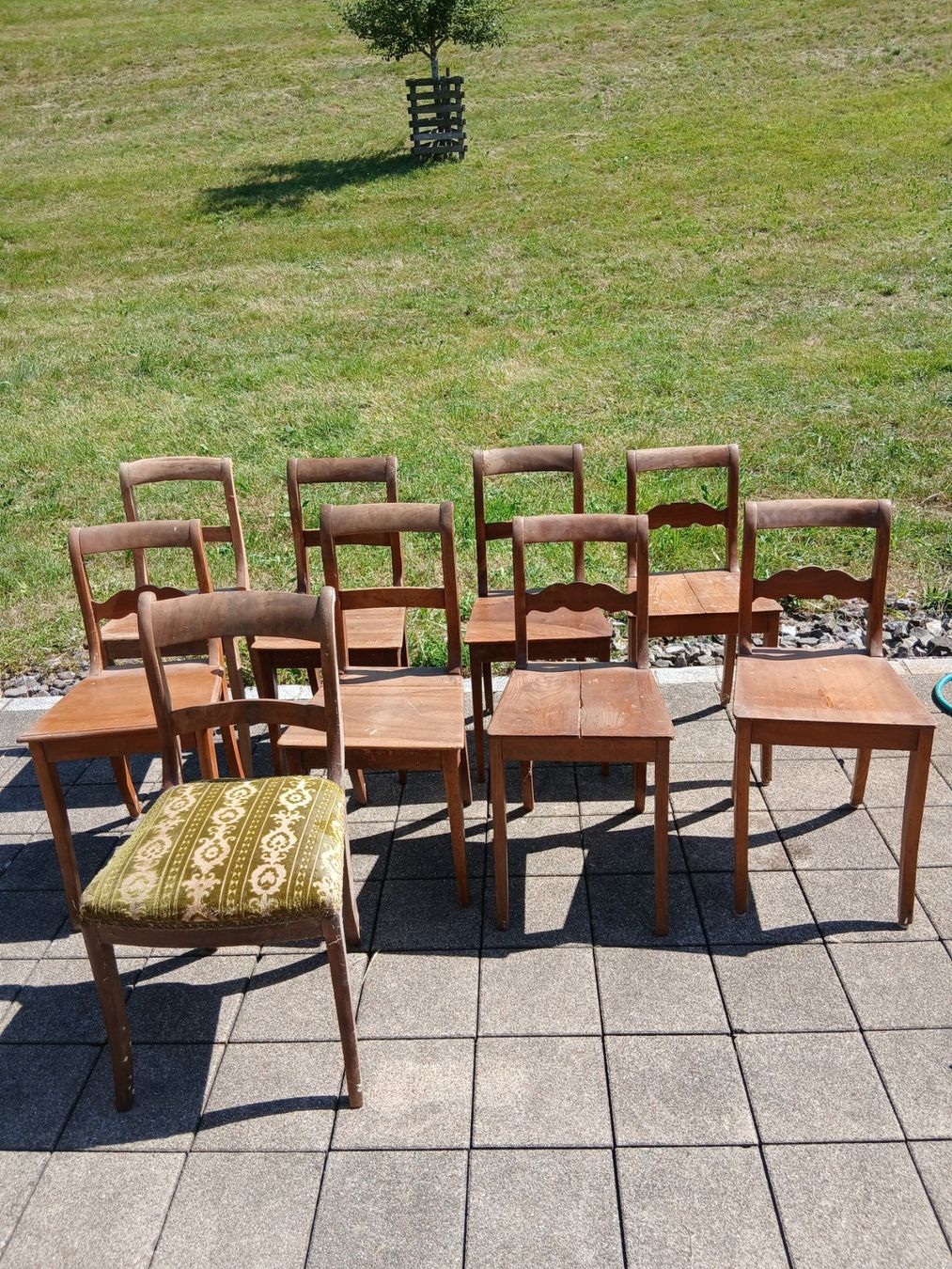 Chaises: Antike Bierdermeier Stühle – D'occasion à Freienbach par Suurer