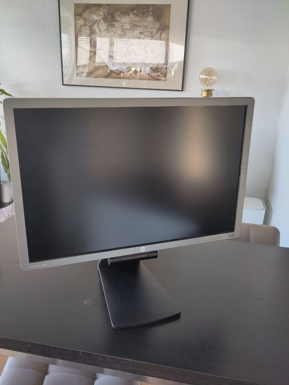 Hewlett Packard Monitor: HP EliteDisplay E241i FullHD – Usato da Biel/Bienne venduto da Emanate