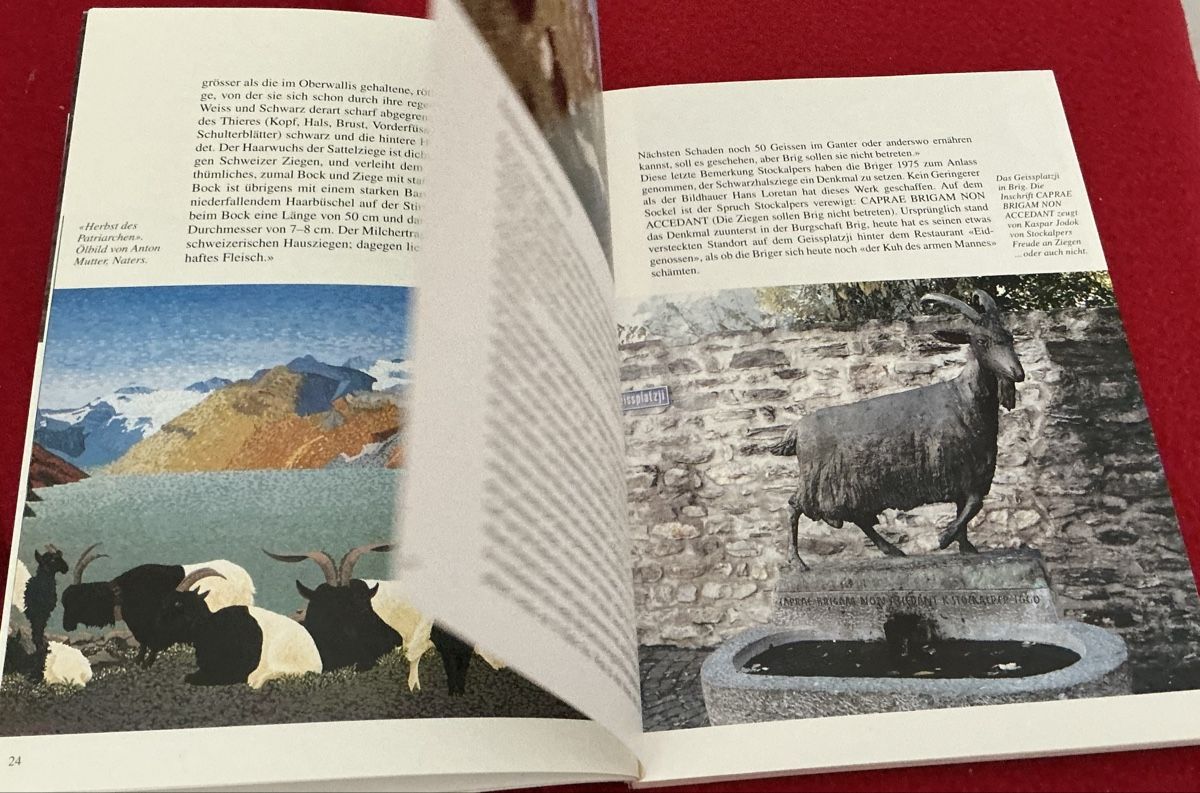 Libri: Walliser Schwarzhalsziegen - Christian Zufferey – Usato da Crans-Montana venduto da plainemorte 3