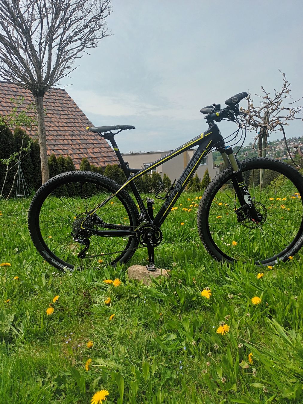 Bergamont Vélos: BERGAMONT Revox 9.4 Carbon – D'occasion à Wald AR par Elan16