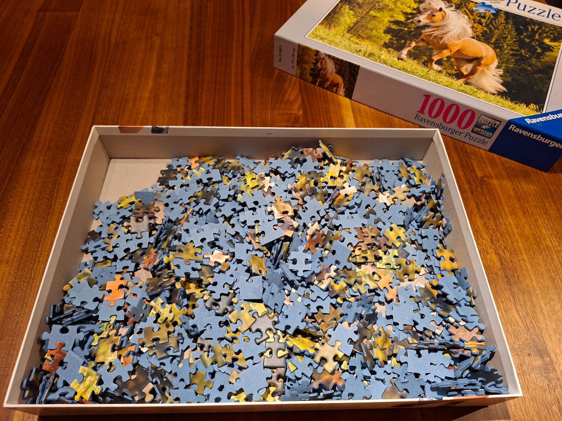 Ravensburger Puzzle: Ravensburger Puzzle "Pferd" - 1000 Teile – Usato da Hochdorf venduto da ret_wnc8 2