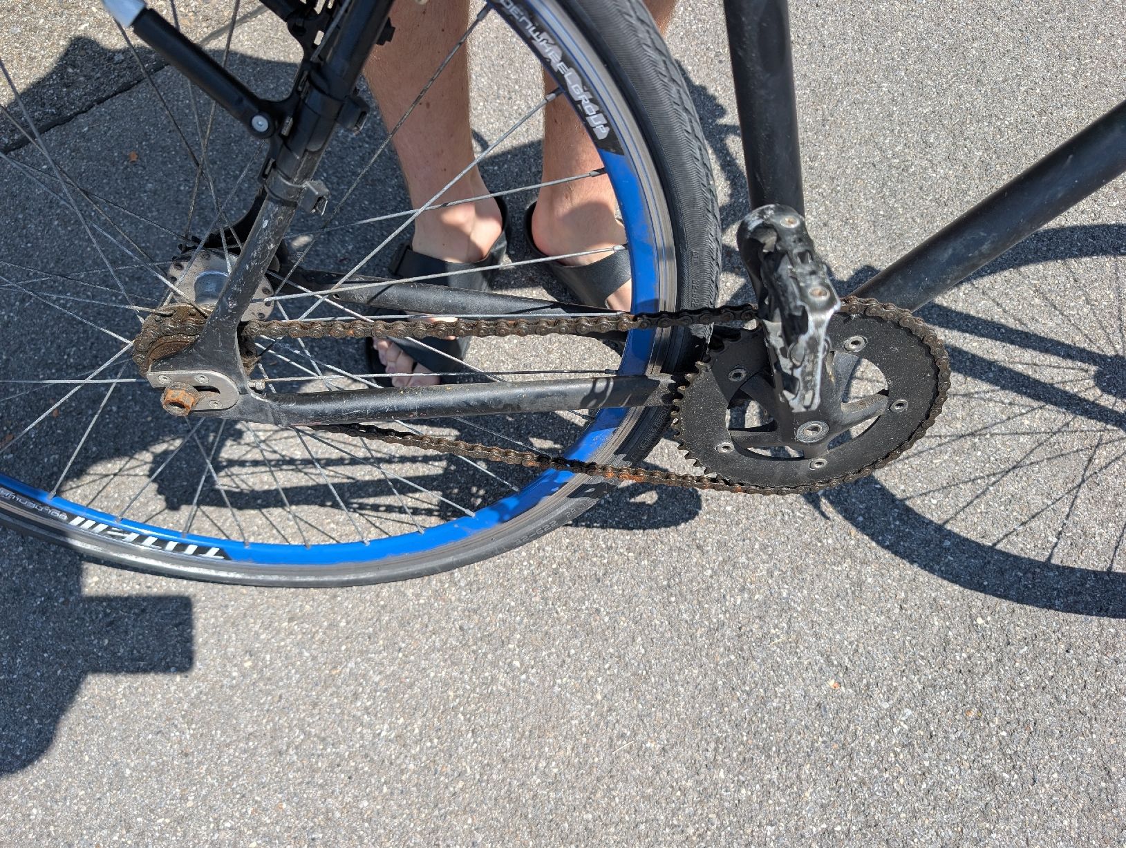 Biciclette: Velo 28" Singlespeed  – Usato da Gwatt (Thun) venduto da McFrizzel 3