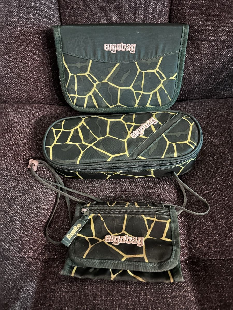 Ergobag Zaini: Ergobag Schul-Rucksack mit vielen Accessoires – Usato da Dietikon venduto da TdaC 9