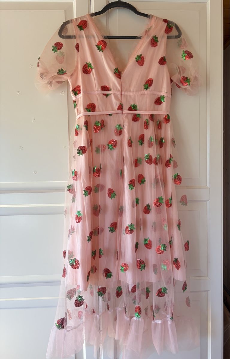 Vestiti: Strawberry Mesh Midi Dress – Usato da St.Josefen venduto da lop_lh8d 3