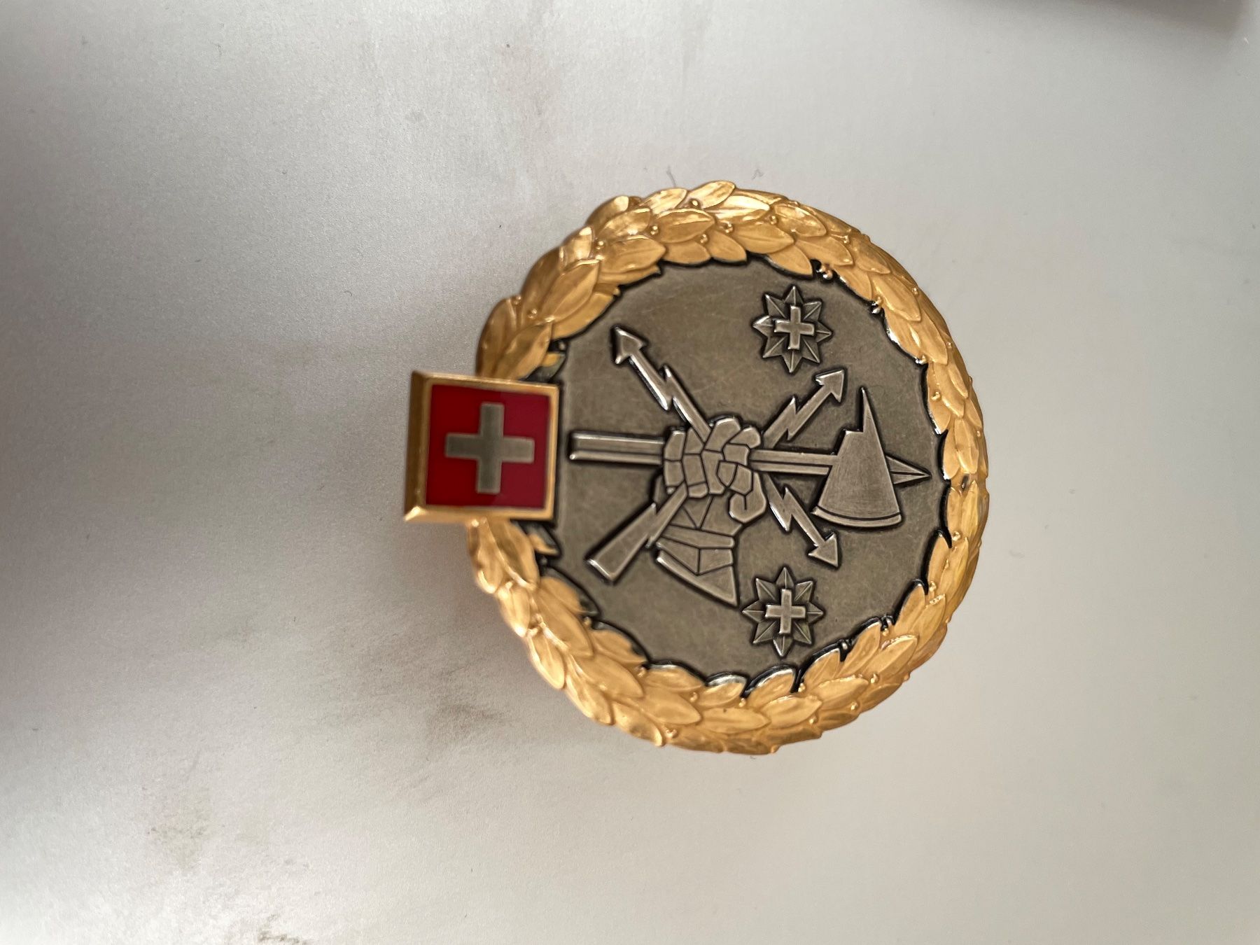 Schweizer Armee Placchette & Badge: Emblem Offizier FUB – Nuovo (secondo la descrizione) da Oberiberg venduto da reimet