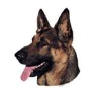 Profile image of Xano1913