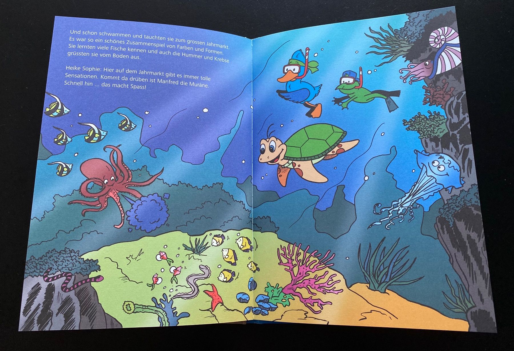 Libri: DIE ABENTEUER VON HUGO UND RAPHAEL – Usato da Nussbaumen AG venduto da schuba2000 4
