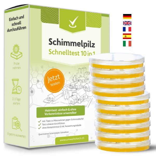 Messen: Schimmeltest 10 in 1 – Neu und originalverpackt aus Steinmaur von umweltcheck