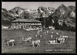 AK Unterwasser, Berggasthaus Iltios mit Säntis und Schafberg