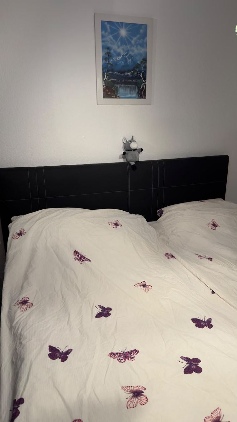 Letti: Boxspring Bett – Usato da Au ZH venduto da bpu_sp7d 1