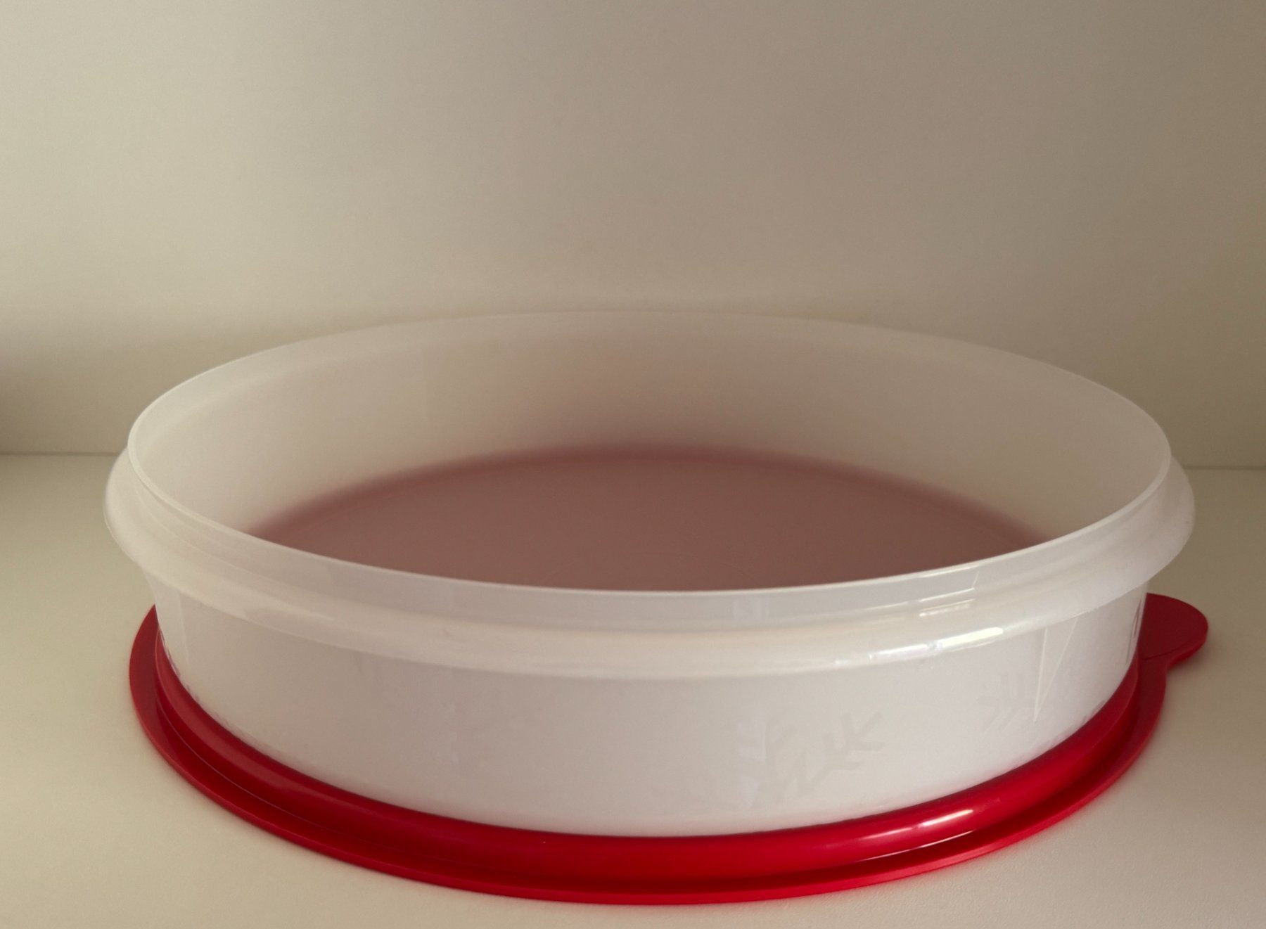 Tupperware Contenitori & Simili: Tupperware - Gefrier-Tortenbehälter – Nuovo (secondo la descrizione) da Kaufdorf venduto da bambulka22