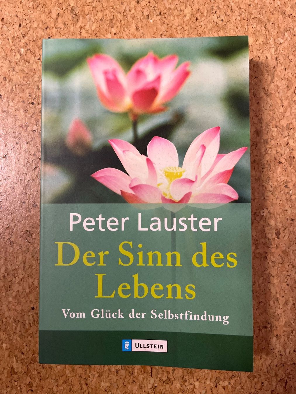 Libri: Taschenbuch "Der Sinn des Lebens", Peter Lauster – Usato da Grosswangen venduto da Vita500