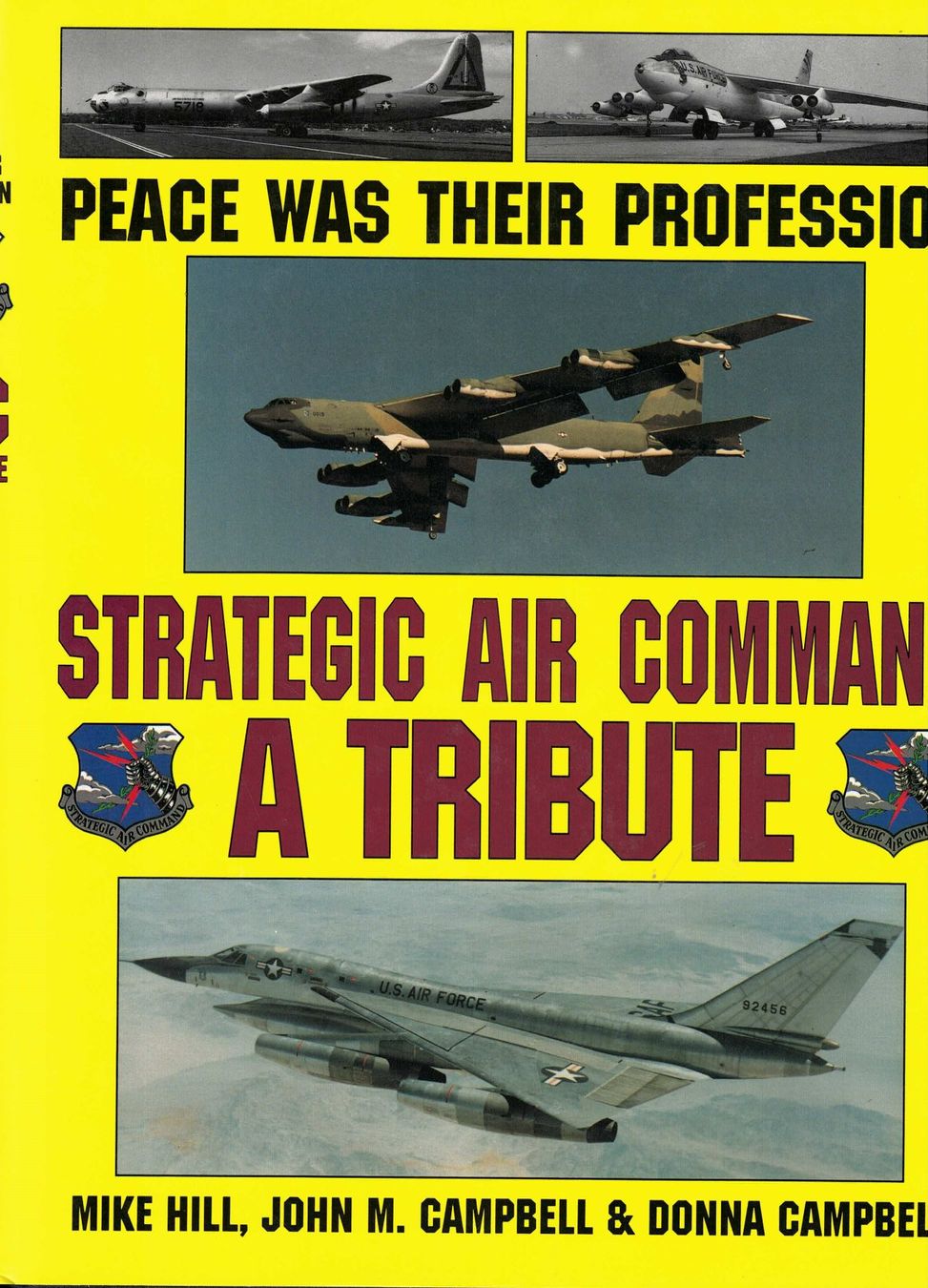 Libri: Strategic Air Command - A Tribute – Usato da Basel venduto da Dogana
