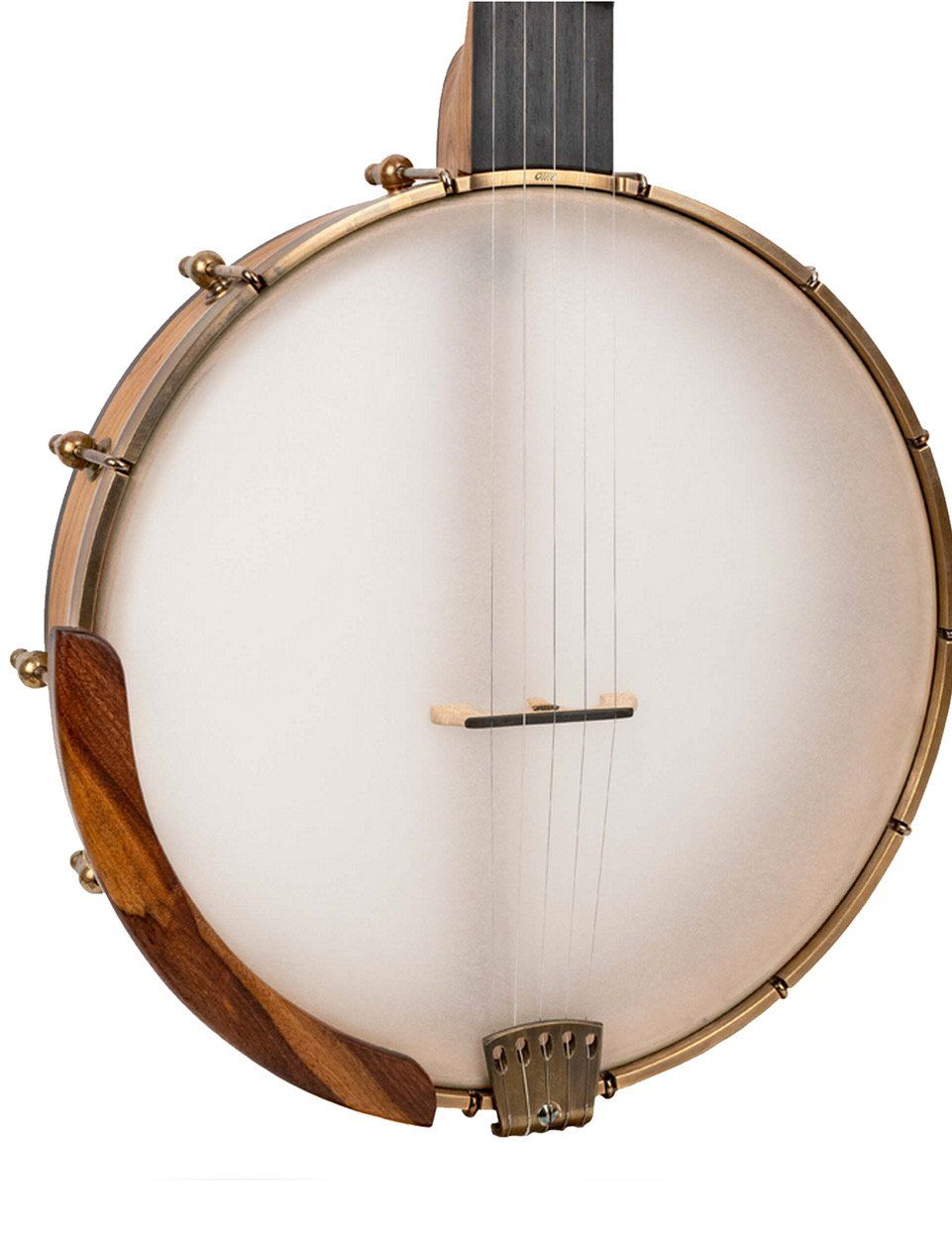 Strumenti musicali: OME "Tupelo" Openback 5-String Banjo – Nuovo e nell'imballaggio originale da Schaffhausen venduto da Saitensprung_SH 2