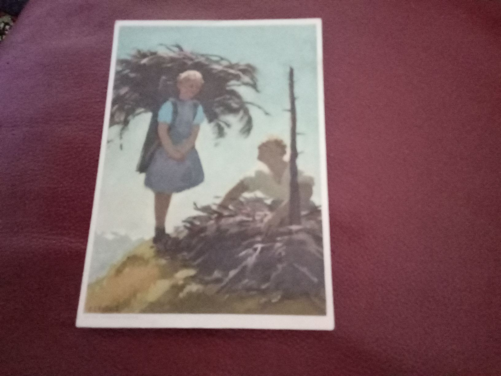 Cartoline postali: 2 BUNDESFEIER -KARTEN1935 – Usato da Muri BE venduto da Alk 3