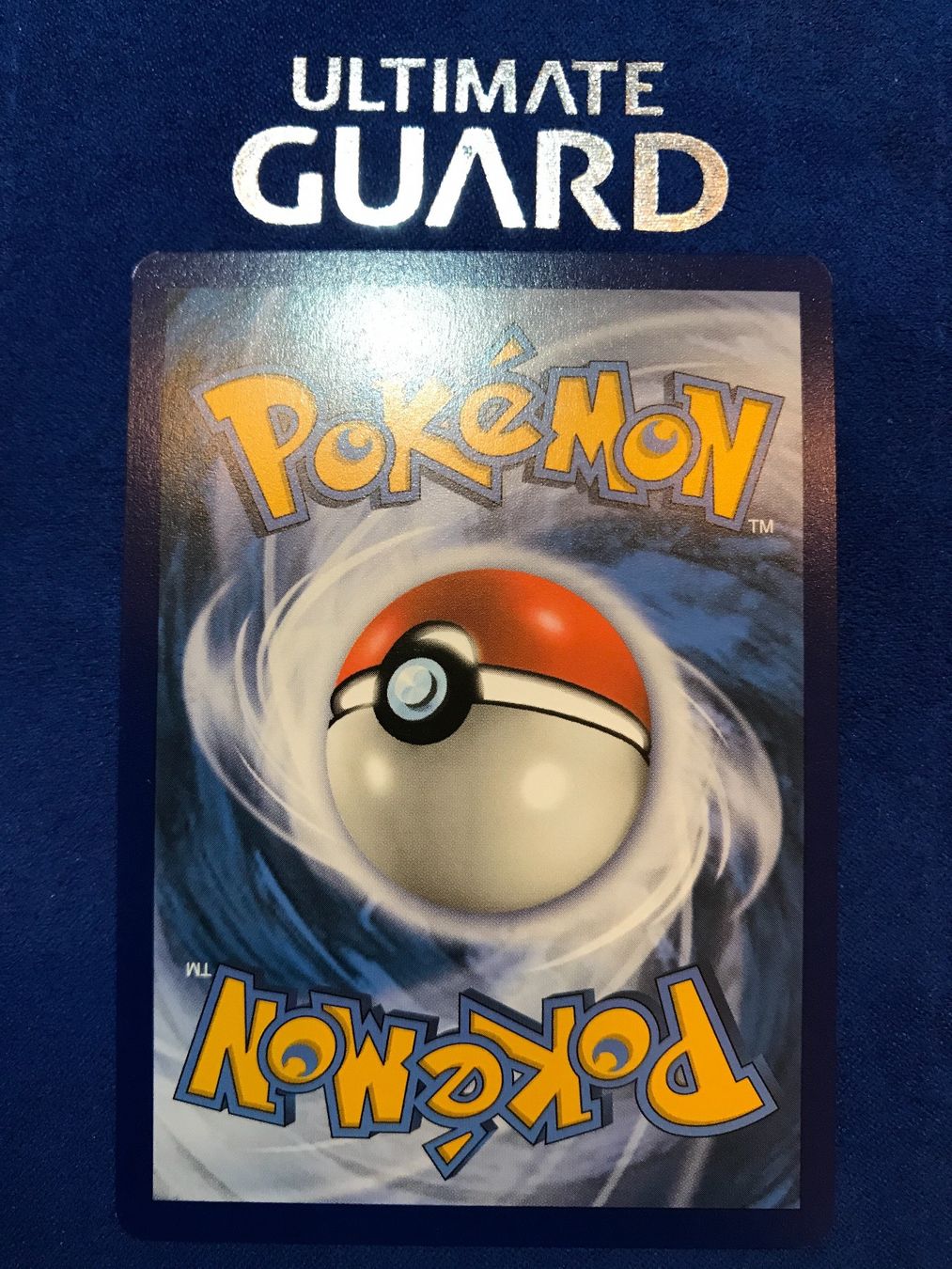 Pokémon Carte collezionabili: Pokemon TCG - Bolthund  EN Holo – Nuovo (secondo la descrizione) da Lyss venduto da DeaDiLuna 1