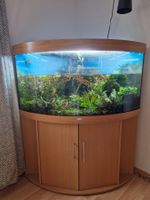 GRATIS Aquarium Juwel 350 liter mit allem drum und dran!!!