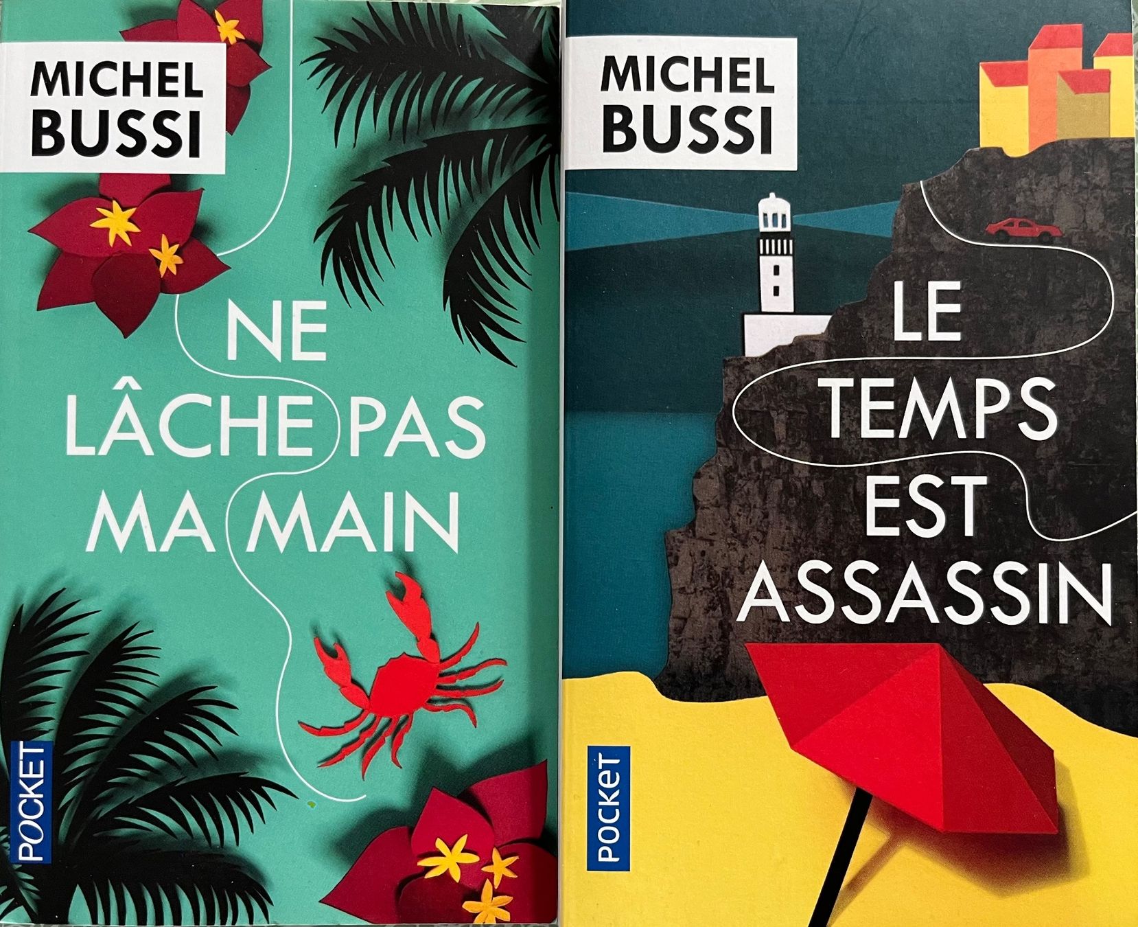 Libri: Lot de 2 romans de Michel Bussi – Usato da Le Crêt-p-Semsales venduto da staglione69