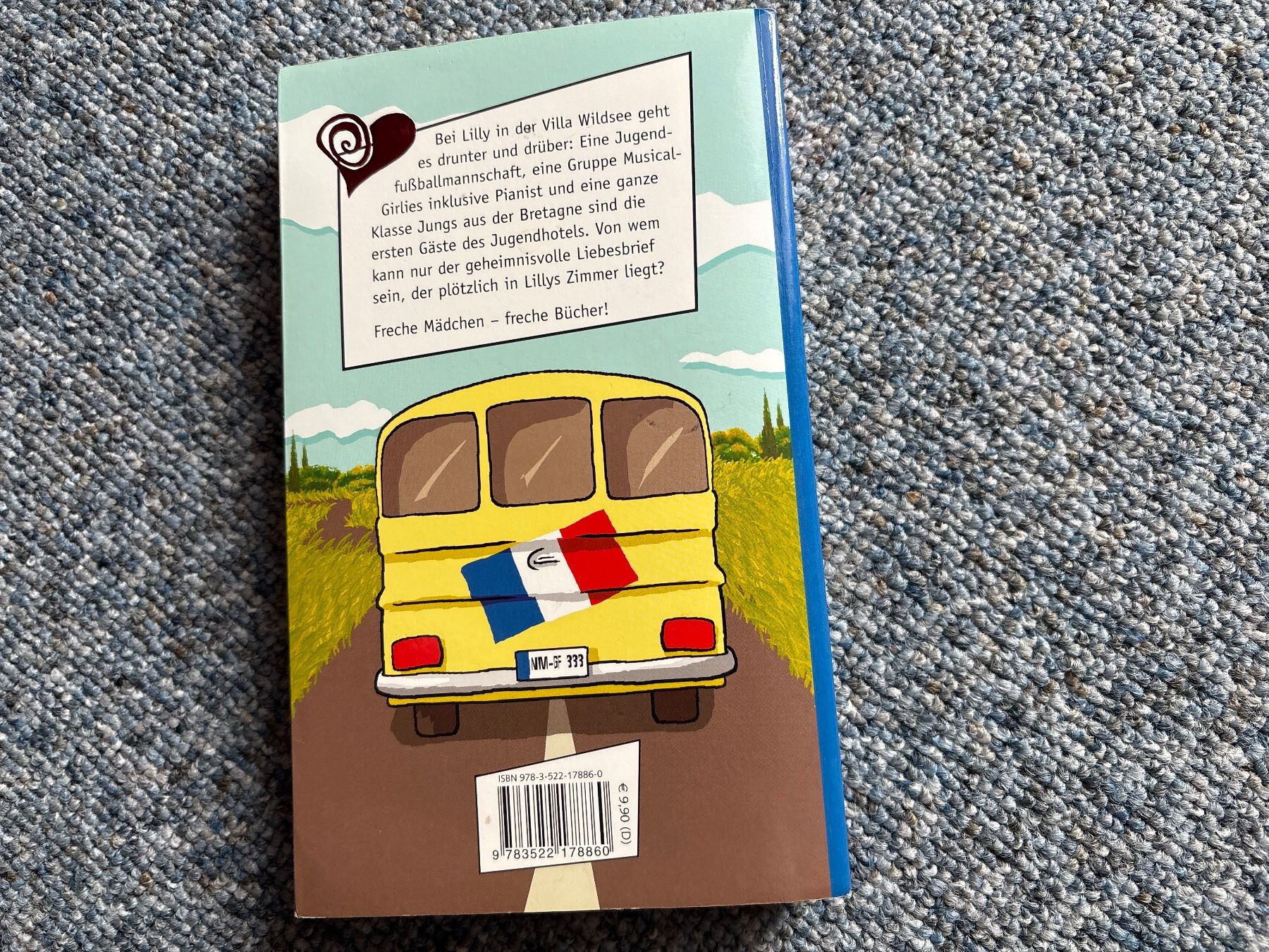 Libri: Jugendbücher für Mädchen – Usato da Beatenberg venduto da Rose406 3