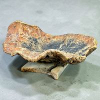 Grand bol brutaliste ancien en bois de liège naturel