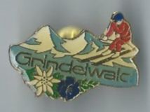 Grindelwald Pin