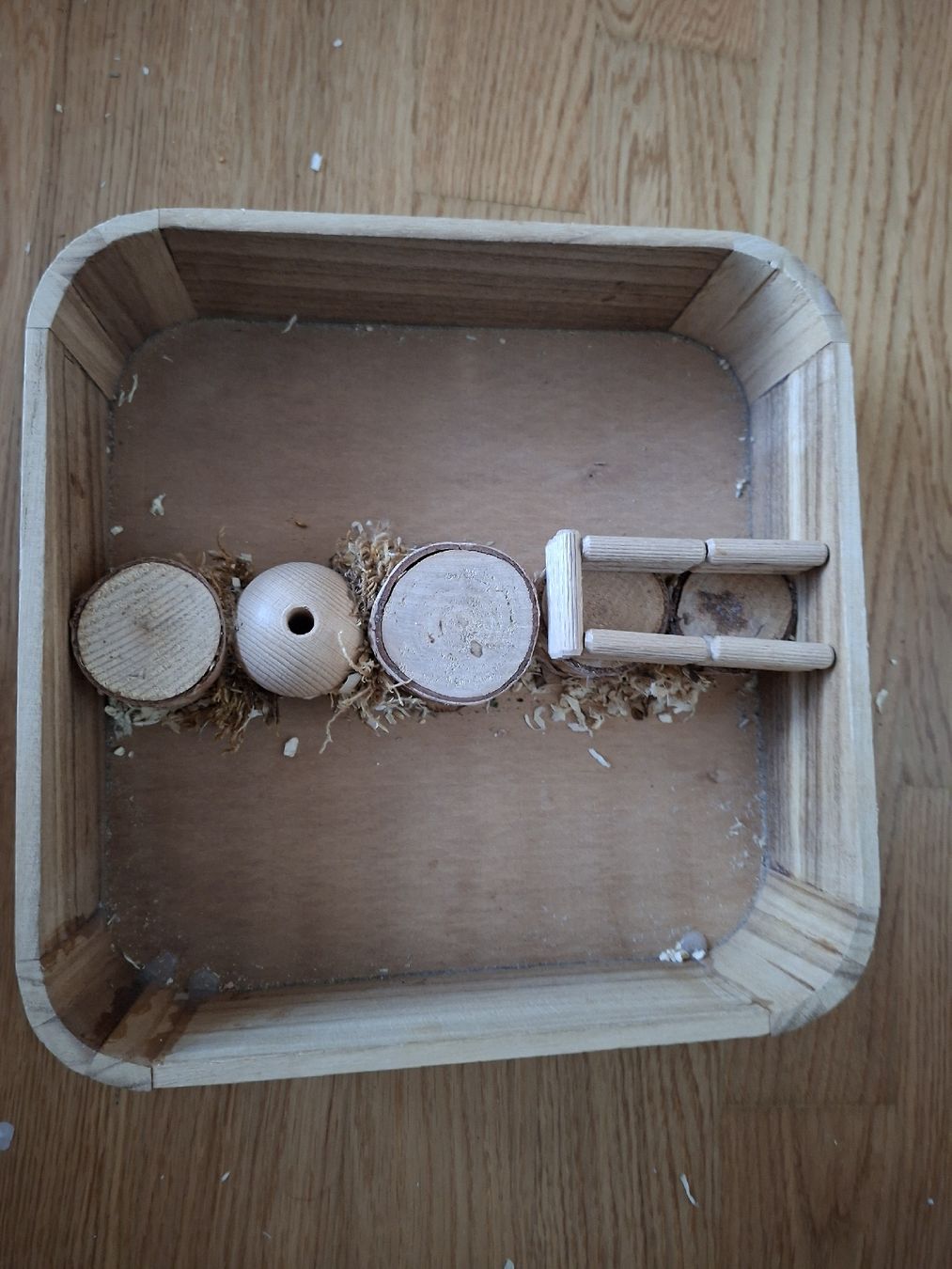 Tutte le decorazioni: Buddelbox mit 2 Abteile – Usato da Boswil venduto da lea_l85l