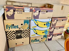12 Bananenkisten