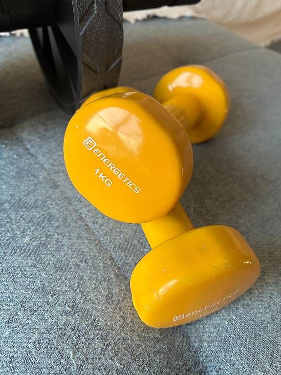 Manubri & Pesi: Hamonax Abs + 2 kg arms weights – Usato da Zürich venduto da max_8cpy 1