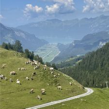 Profile image of Borni1