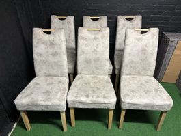 6x Stühl Beige