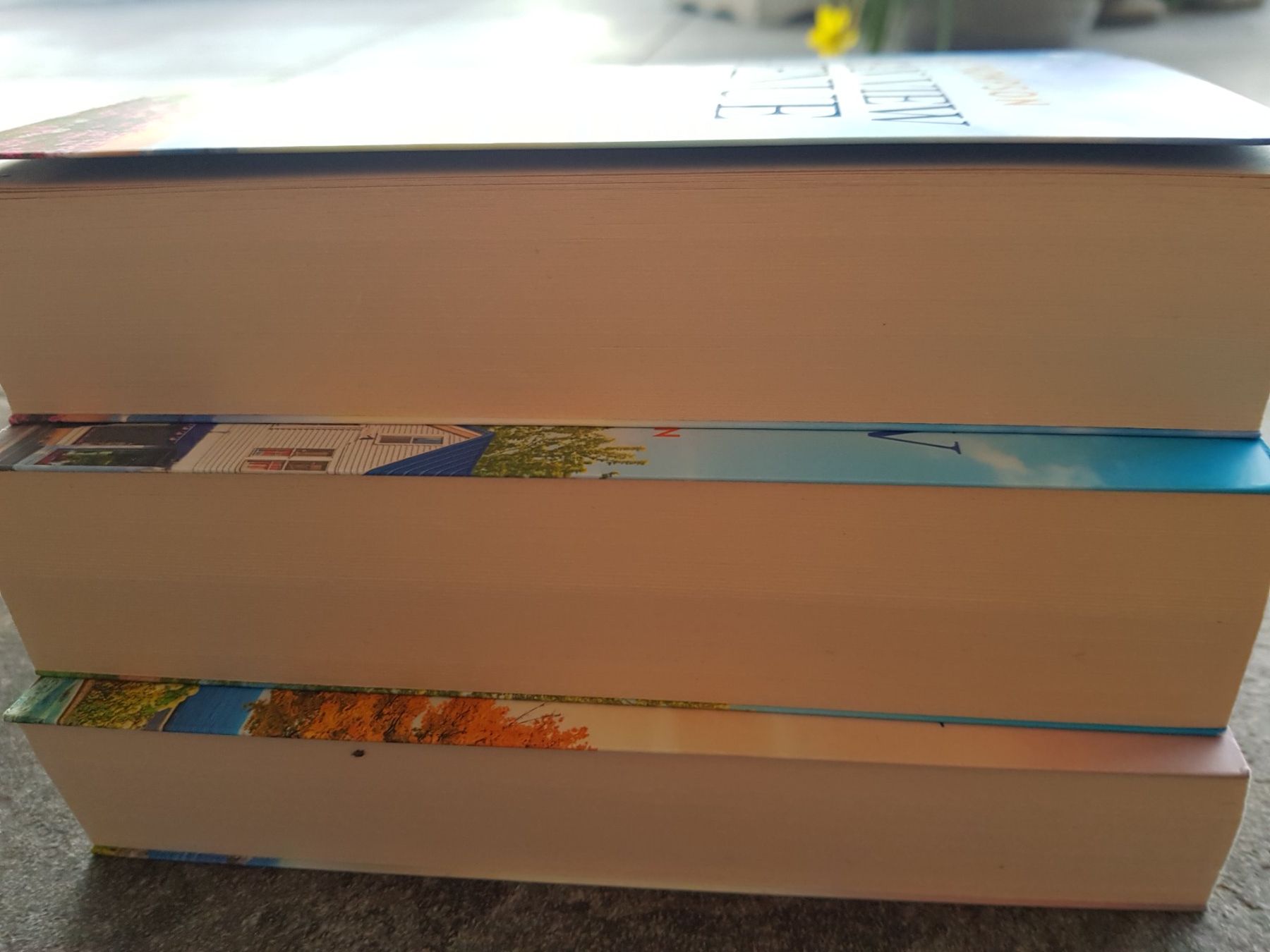 Libri: 3 Bücher Set -  Ocean View Avenue / Ella Thompson – Usato da Dietikon venduto da marconi07 2