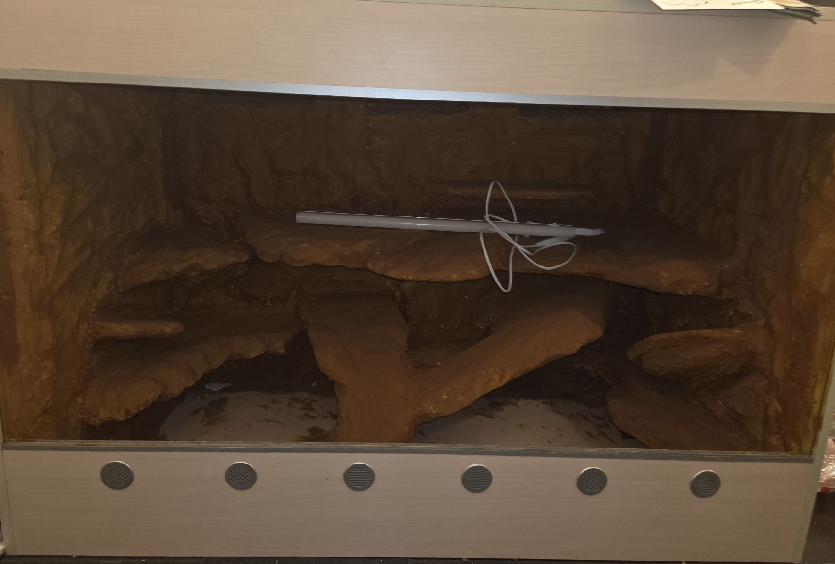 Terrario: Terrarium mit Rückwand – Nuovo (secondo la descrizione) da Sumiswald venduto da M-R1991