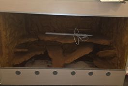 Terrarium mit Rückwand