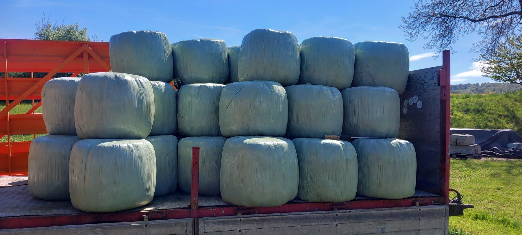 Mangimi: Gras Siloballenfür Pferde, Ziege , Schafe – Nuovo e nell'imballaggio originale da Mellingen venduto da Lambo850