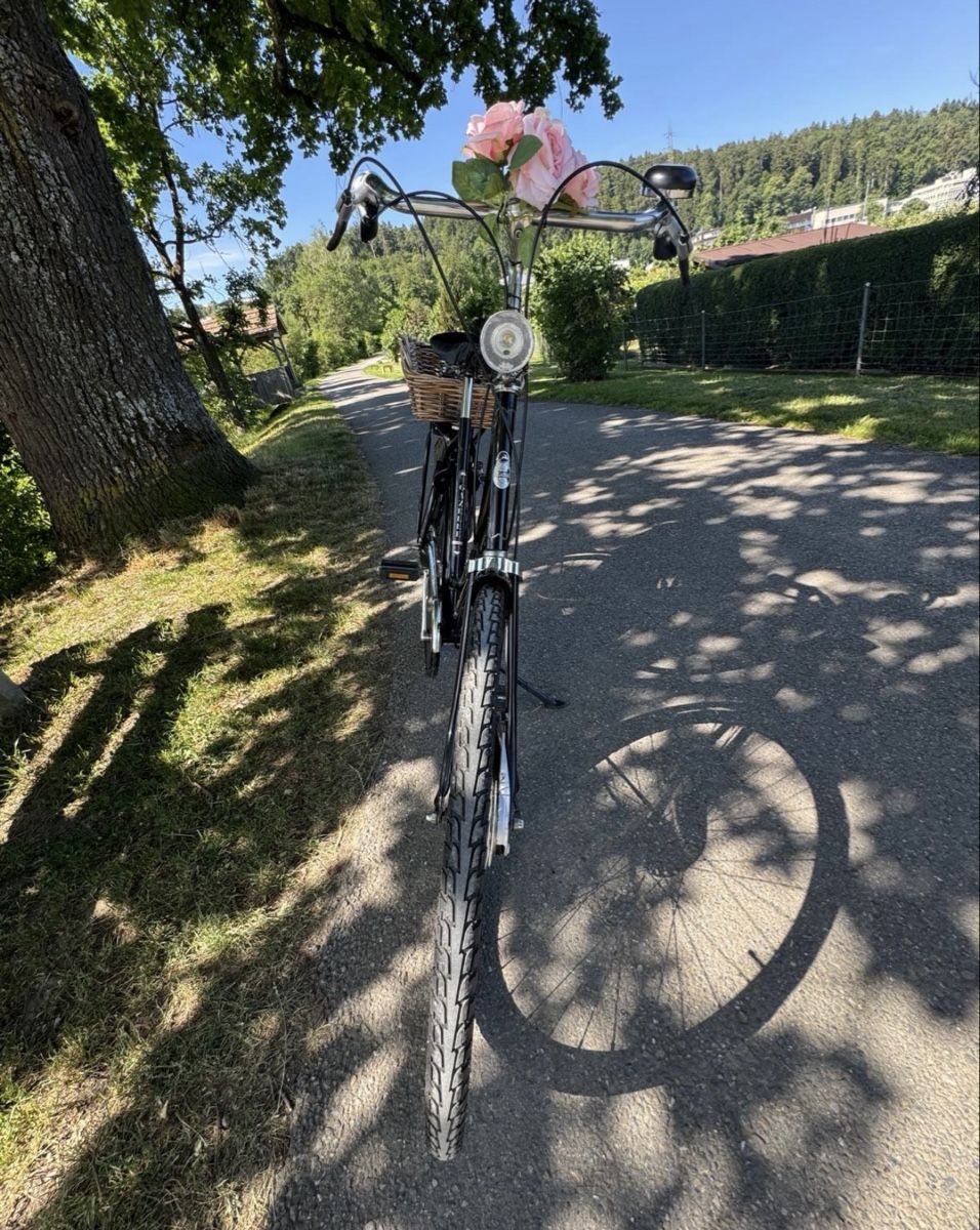 Gazelle Biciclette: Gazelle Hollandvelo Popular C7 – Usato da Fällanden venduto da Caramel7 4