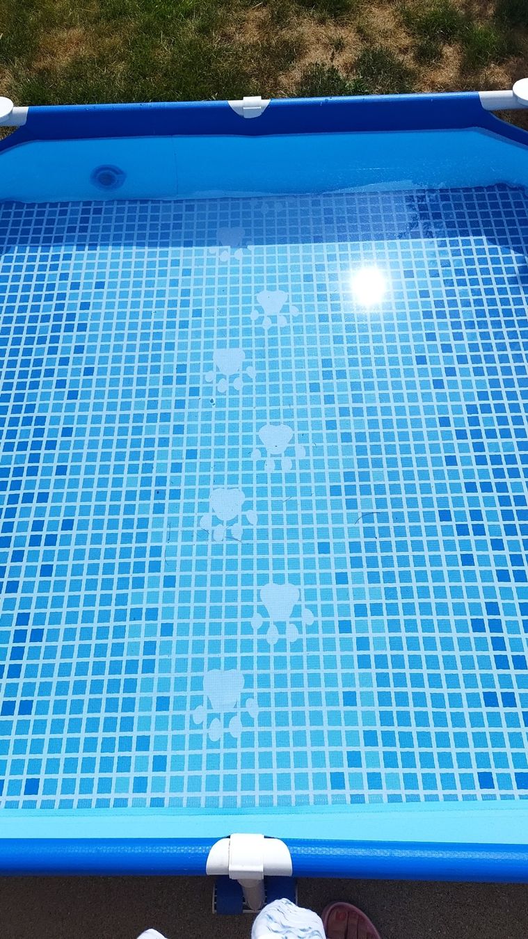 Intex Piscine: Intex Pool mit Zubehör – Usato da Sirnach venduto da Michi580 2