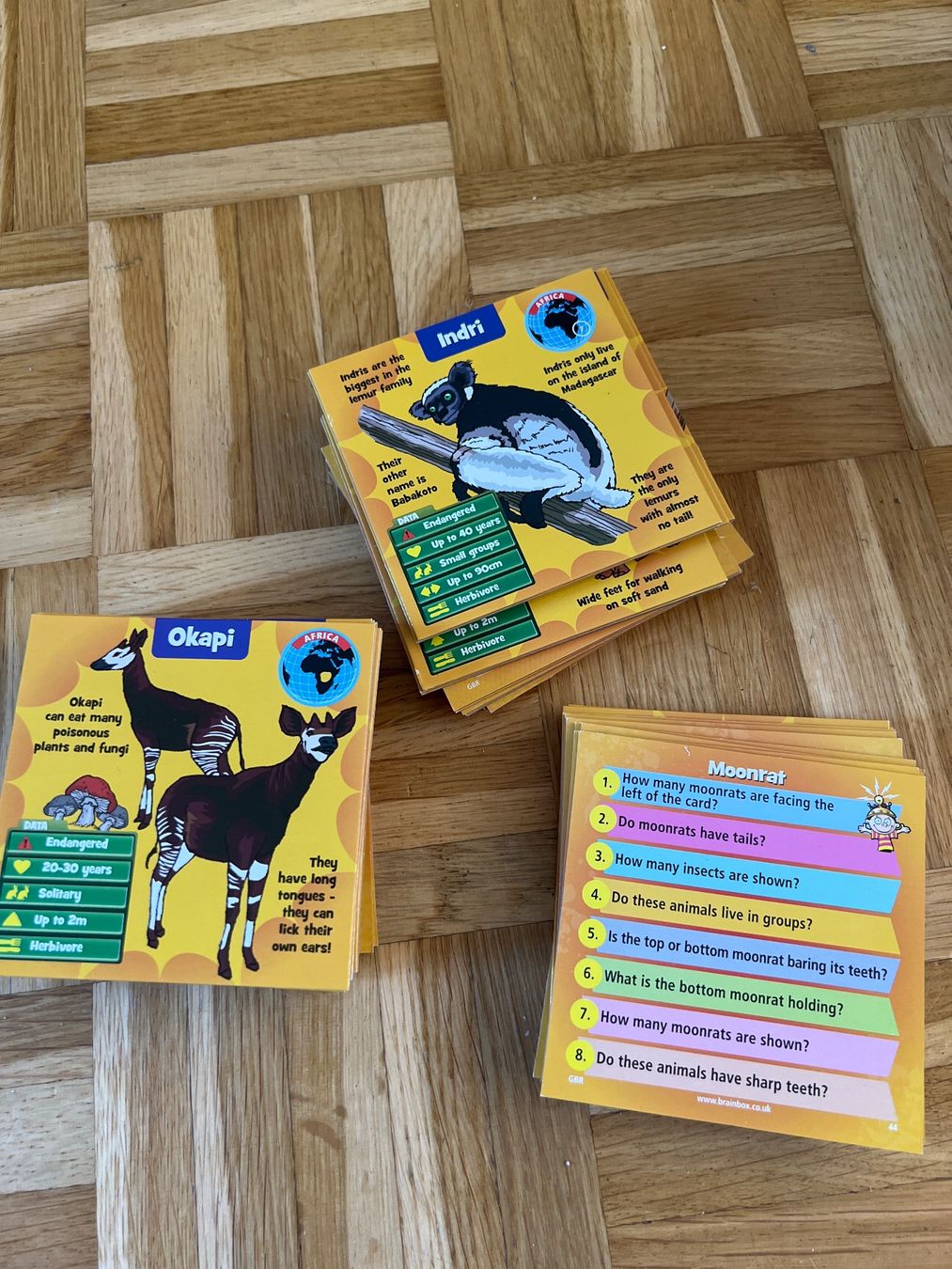 Giochi: BrainBox Lernspiel Tiere - englisch – Usato da Zuchwil venduto da Commander0 1