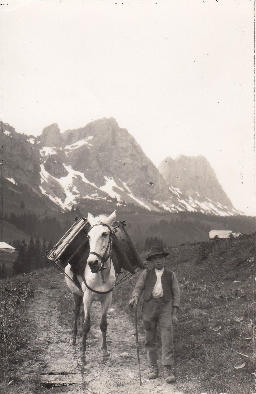 Cartoline postali: Gruyères   FR  -   Säumer mit Pferd – Usato da Brig venduto da Valcards54