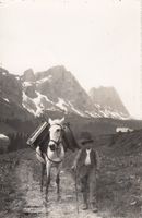 Gruyères   FR  -   Säumer mit Pferd