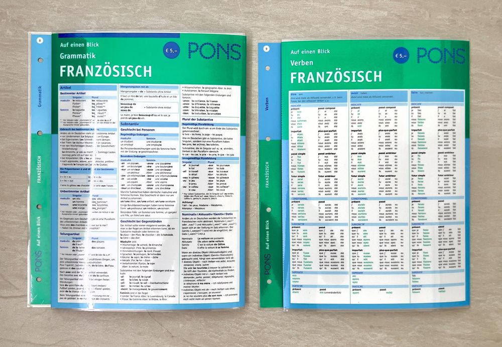 Pons Französisch Grammatik & Verben auf einen Blick Kaufen auf Ricardo