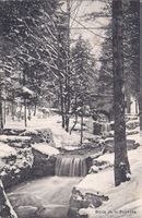 BAULMES, bords de la baumine en hiver
