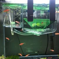 Aquarium Fischzucht Brutkasten, Top Zustand!