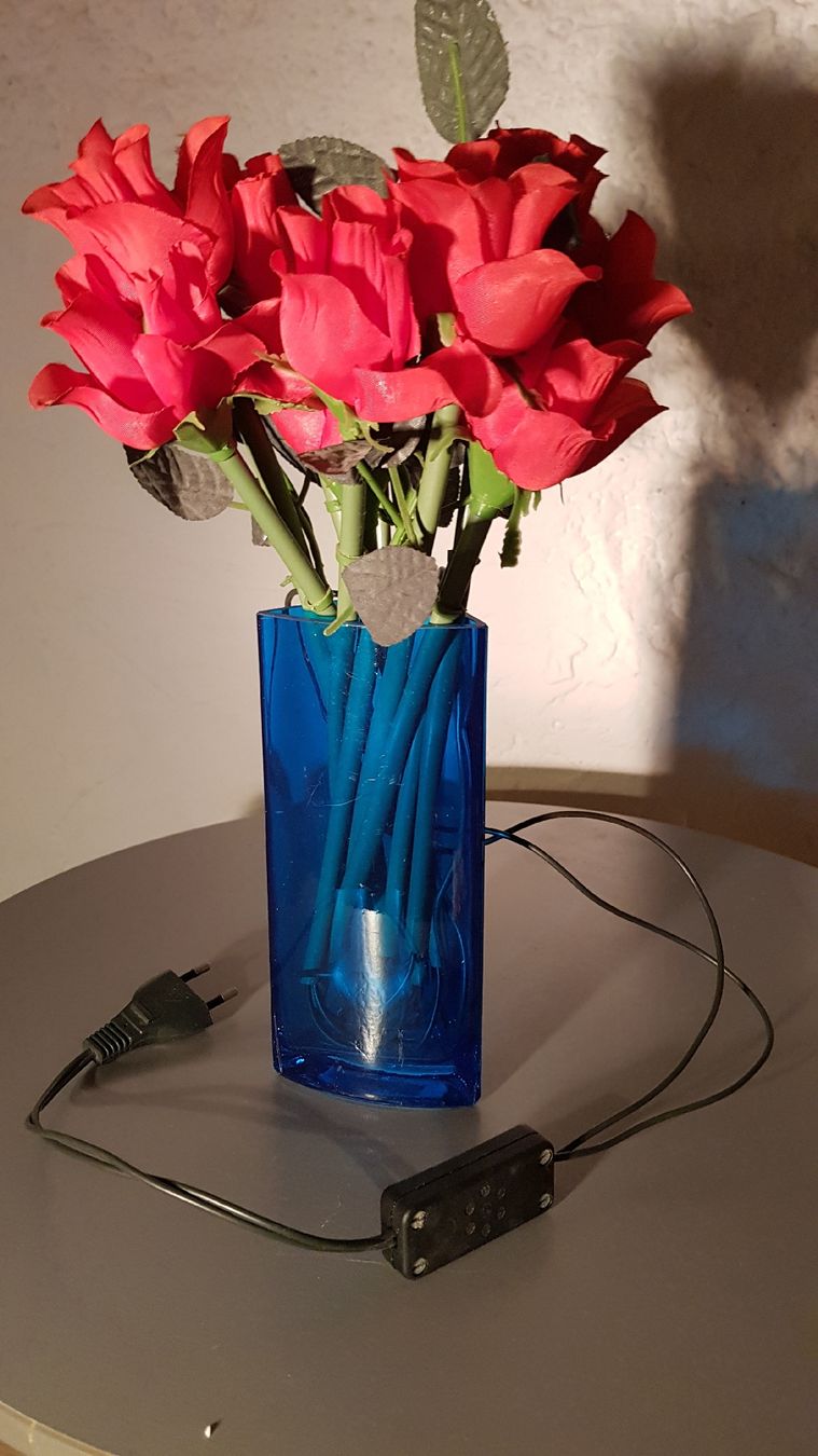 Ghirlande e barre luminose: Vase mit Lichterketten Blumen – Usato da Erlenbach ZH venduto da wem_6f9c