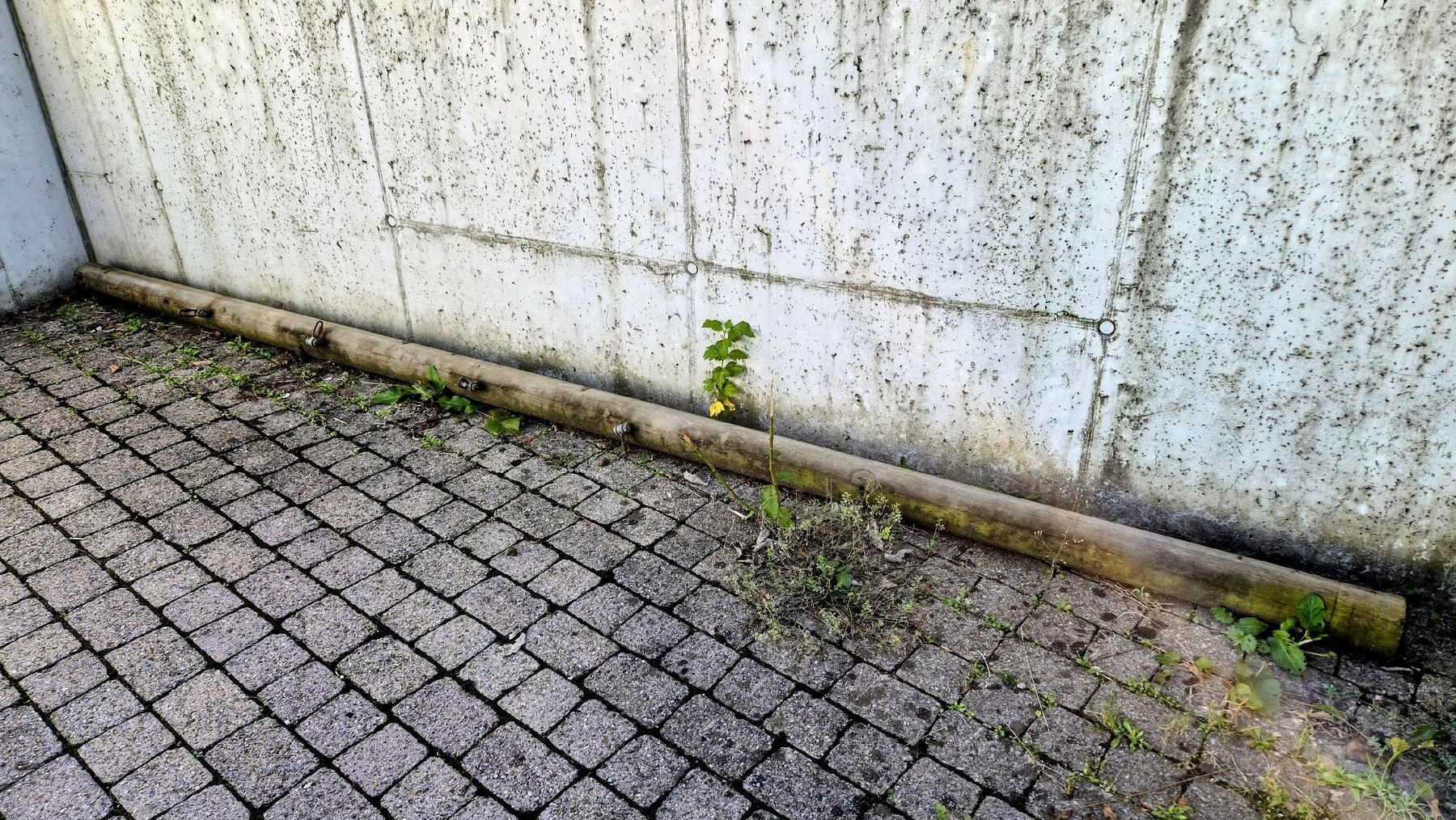 Holzartikel: Rund Holz Schaukel – Gebraucht aus Schindellegi von Beat_12