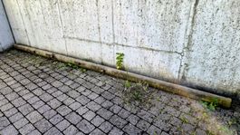 Rund Holz Schaukel