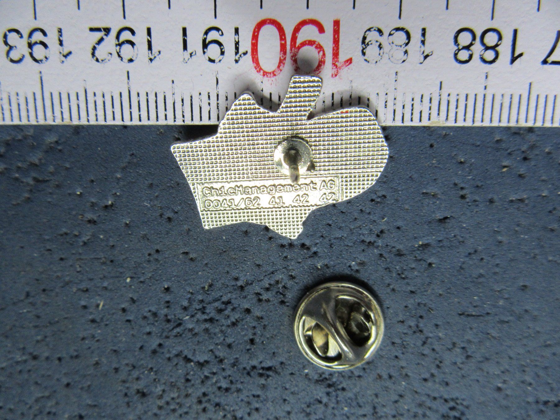 Swiss Plaquettes & Badges: WERNLI PIN – D'occasion à Ettingen par Hausi4711 1