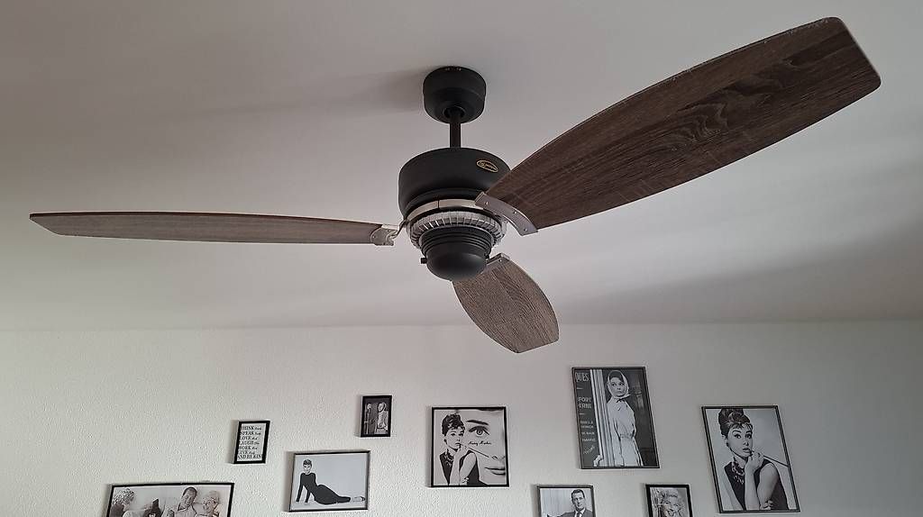 Ventilatori: Deckenventilator mit Holzoptik  3 Flügel – Usato da Wädenswil venduto da cel_zt5w 2